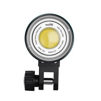 WF102 SolarFlare 4500 video light