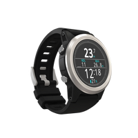 Shearwater Tern Dive Computer