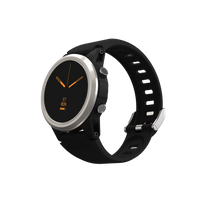 Shearwater Tern Dive Computer