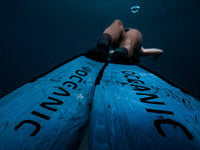 Predator Free Dive Package