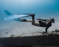 Predator Free Dive Package