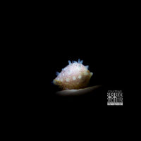 DivePro MP30 Macro Snoot Light (210000 LUX)